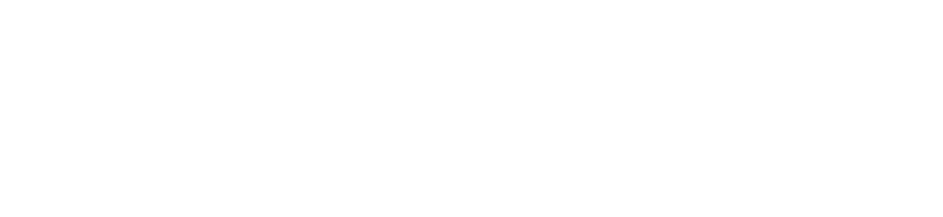 ans-agencia-nacional